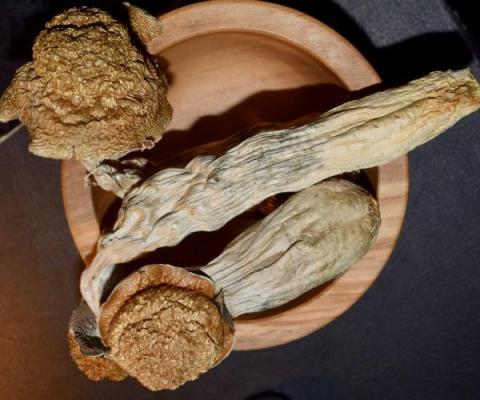 Mushrooms